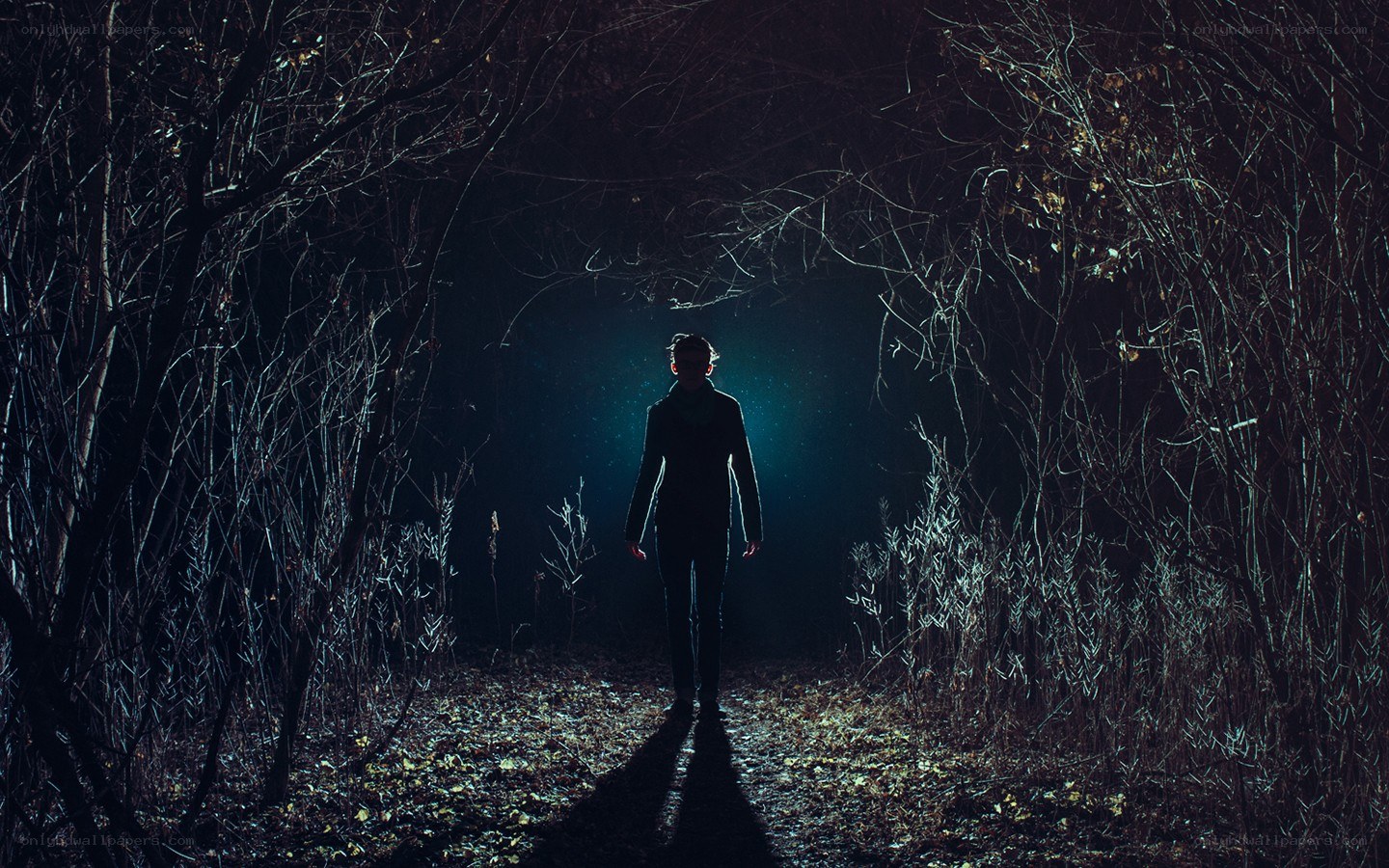 person walking in dark forest