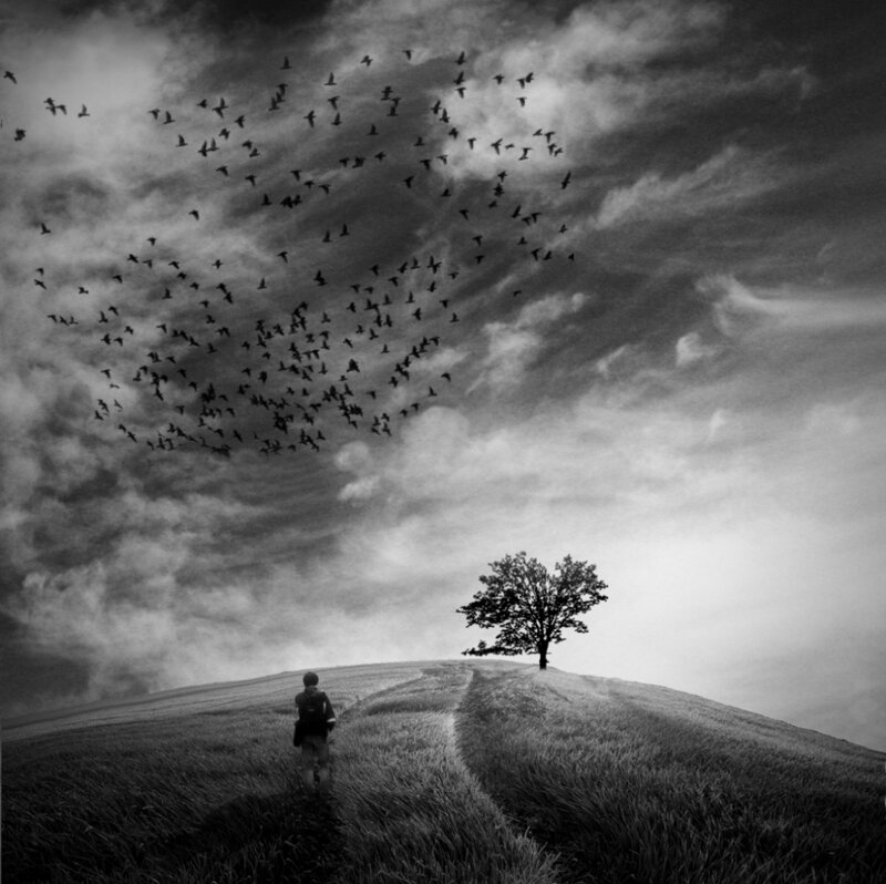 Person Walking in Field — Black