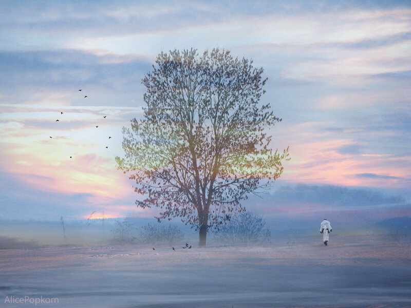 Person Walking in Field — Blue