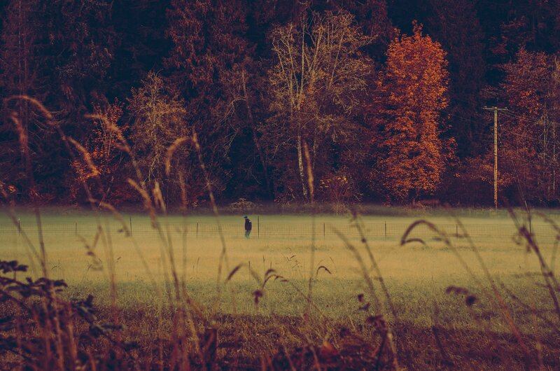 Person Walking in Field — Brown, Serene