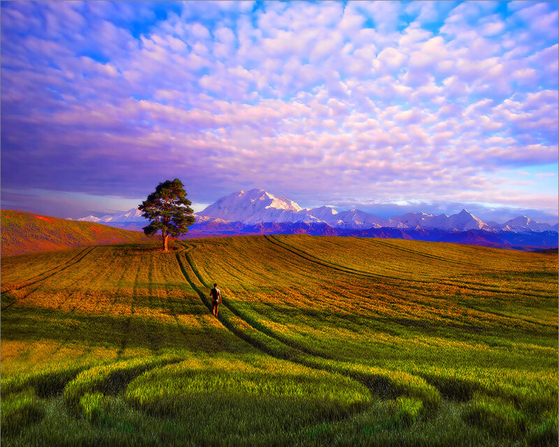 Person Walking in Field — Green, Serene