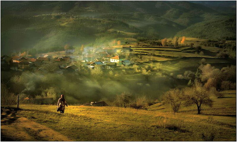 Person Walking in Field — Green
