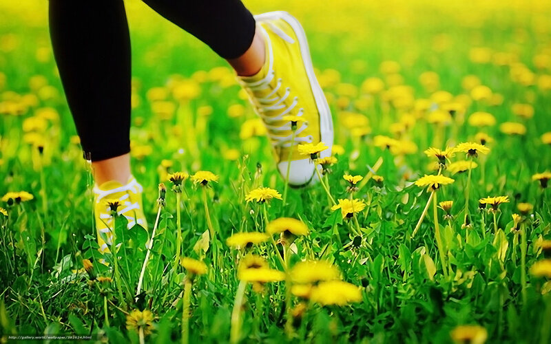 Person Walking in Field — Yellow, Serene