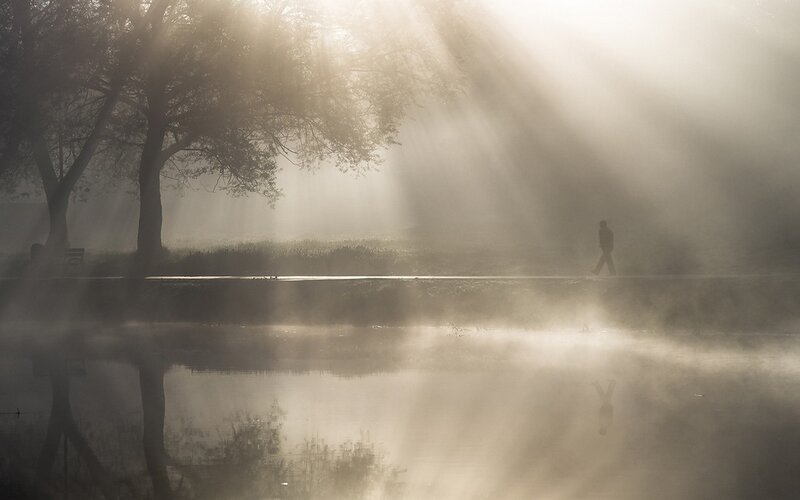 Person Walking in Fog — Gray, Misty