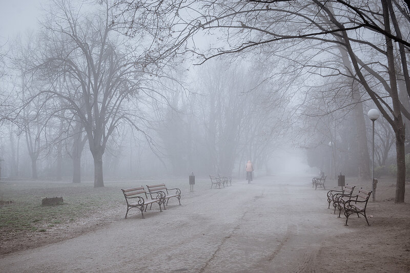 Person Walking in Fog