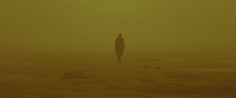 Person Walking in Fog — Yellow