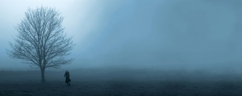 Person walking in foggy field