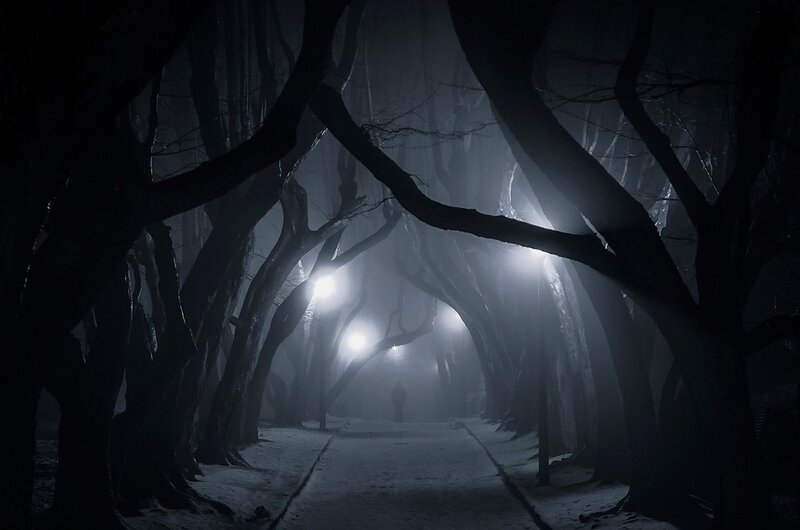 Person Walking in Forest — Black, Dark