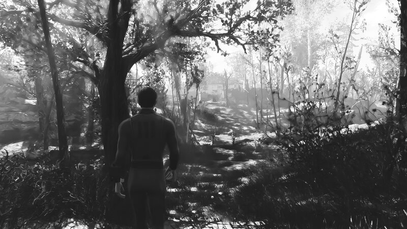 Person Walking in Forest — Black, Serene