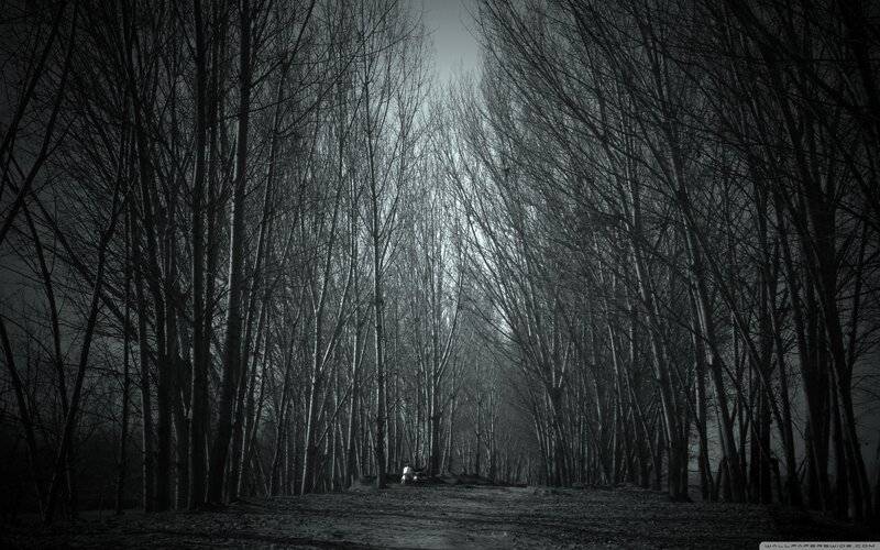 Person Walking in Forest — Black, Somber