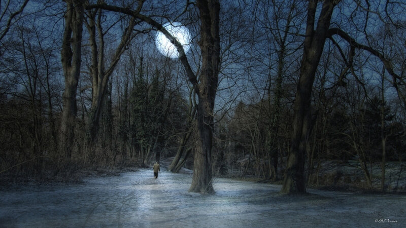 Person Walking in Forest — Blue, Dark