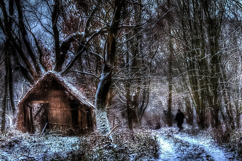 Person Walking in Forest — Blue, Dramatic