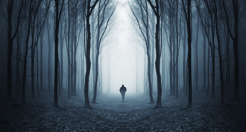 Person Walking in Forest — Blue, Mysterious, Night
