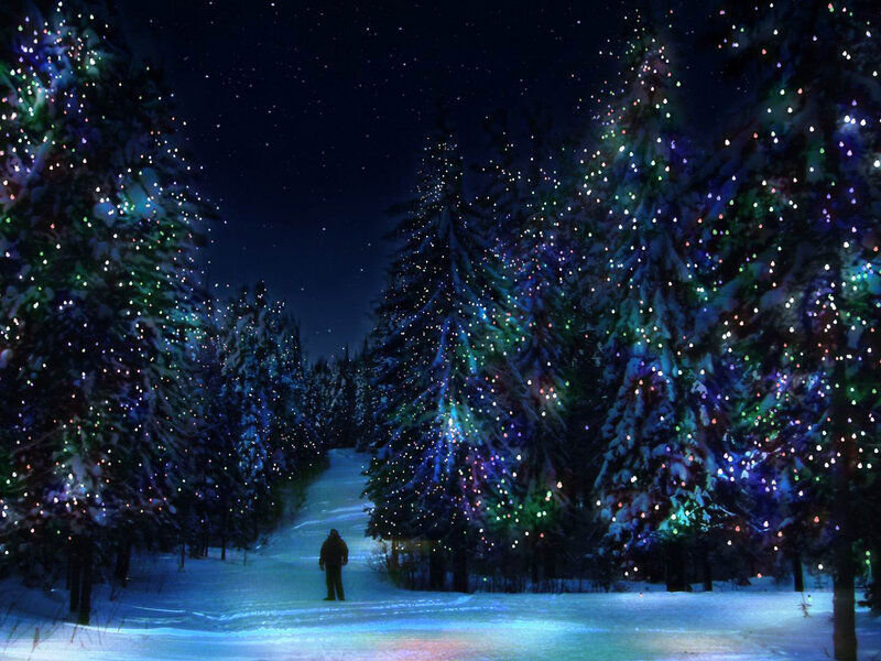 Person Walking in Forest — Blue, Serene, Night