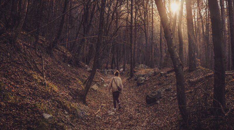 Person Walking in Forest — Brown, Serene