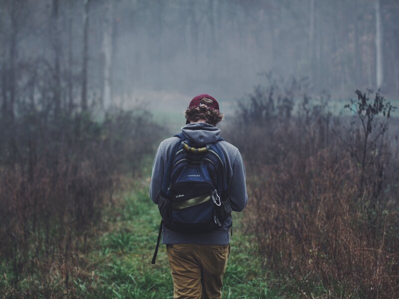 Person Walking in Forest — Gray, Misty