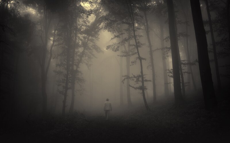 Person Walking in Forest — Gray, Mysterious, Night