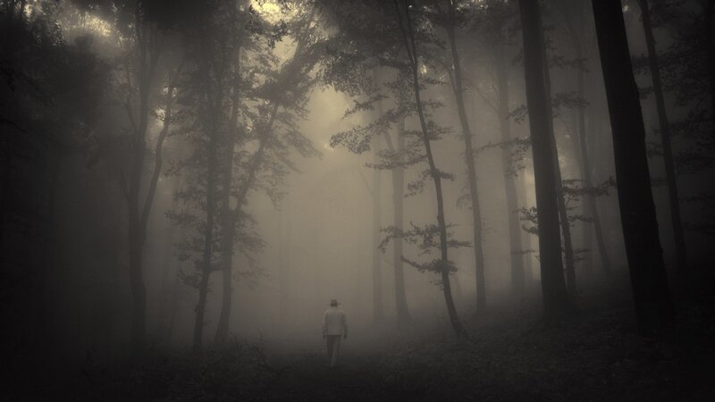 Person Walking in Forest — Gray, Mysterious