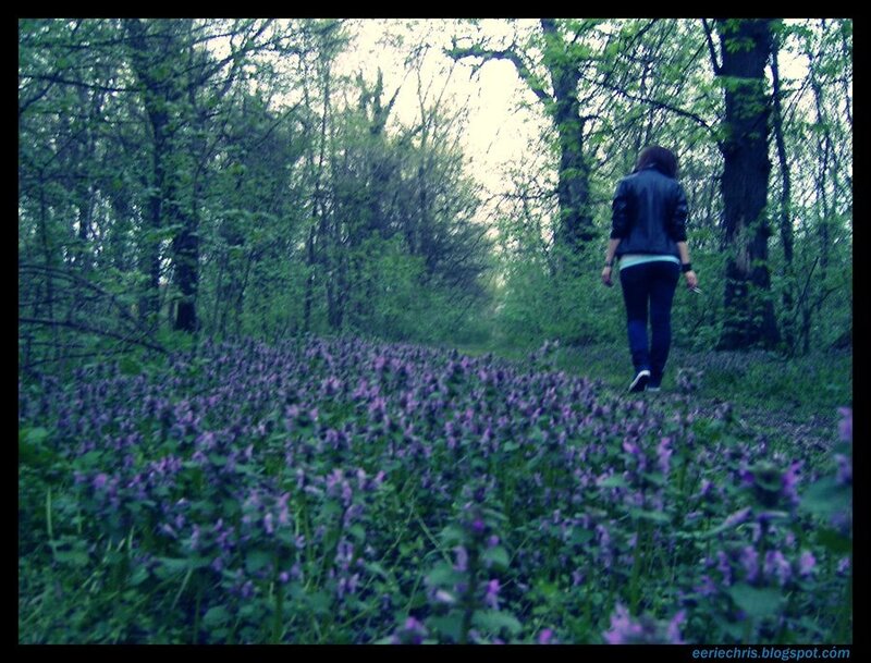Person Walking in Forest — Green