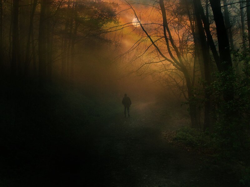Person Walking in Forest — Orange, Mysterious