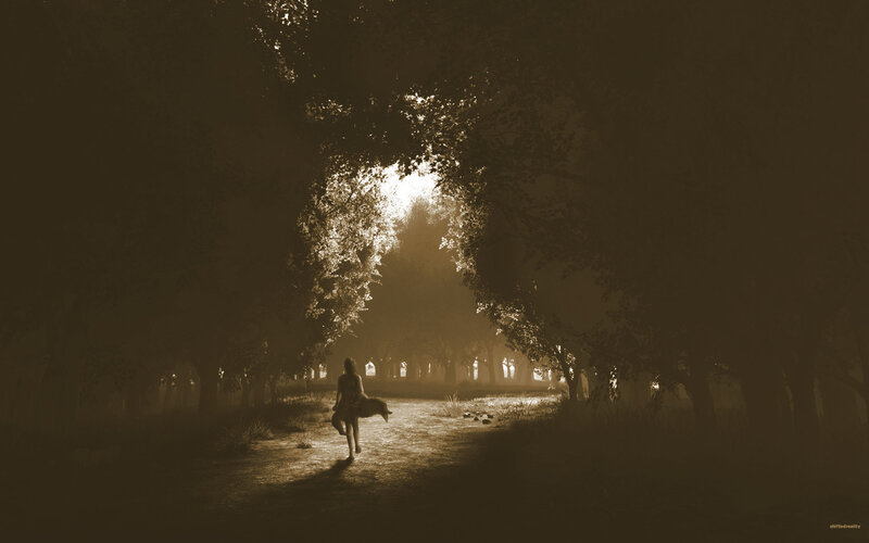 person walking in forest path