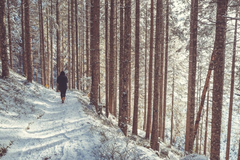 Person Walking in Forest — White, Serene, Winter, Photograph
