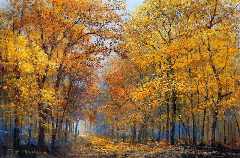 Person Walking in Forest — Yellow