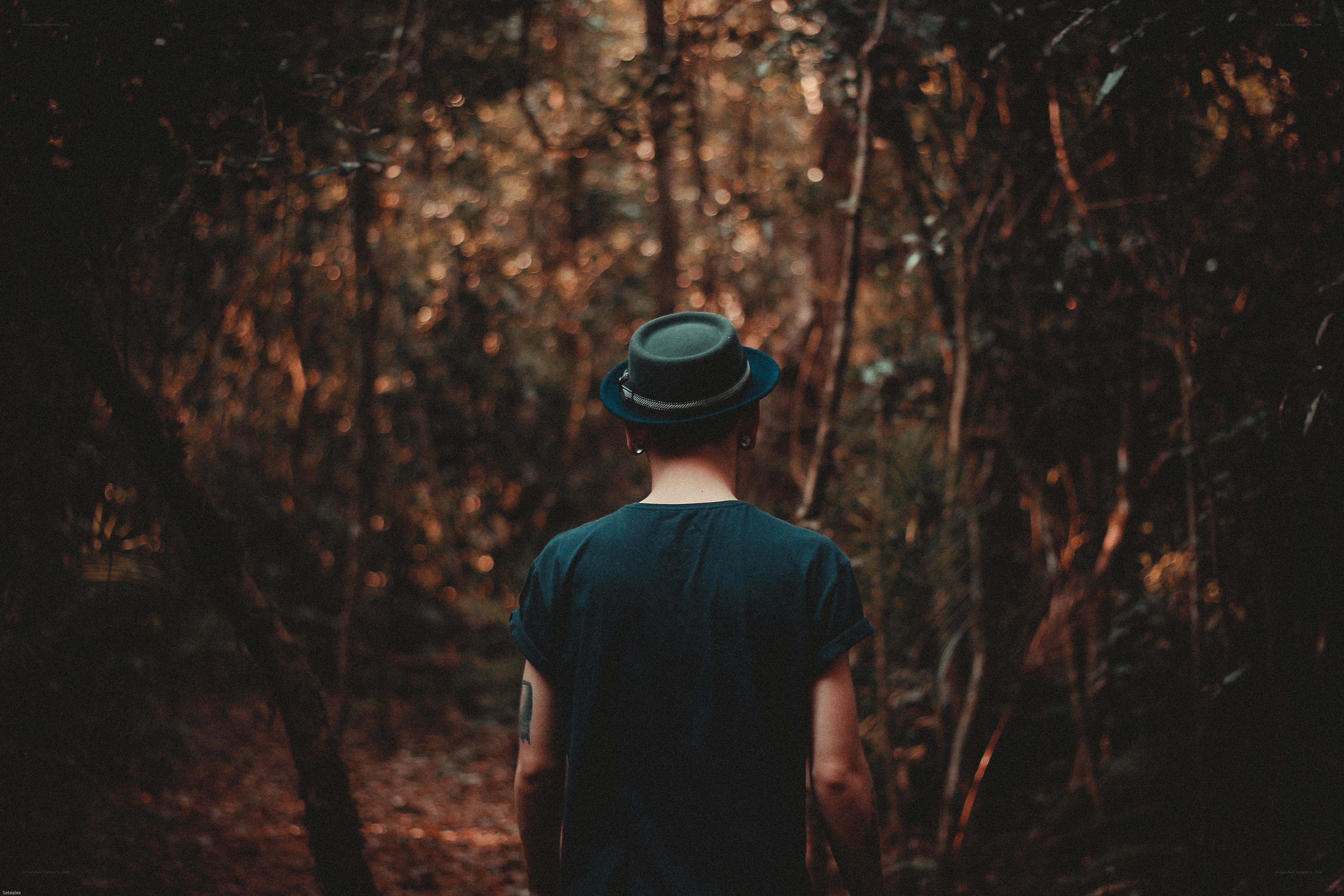 Person walking in forest