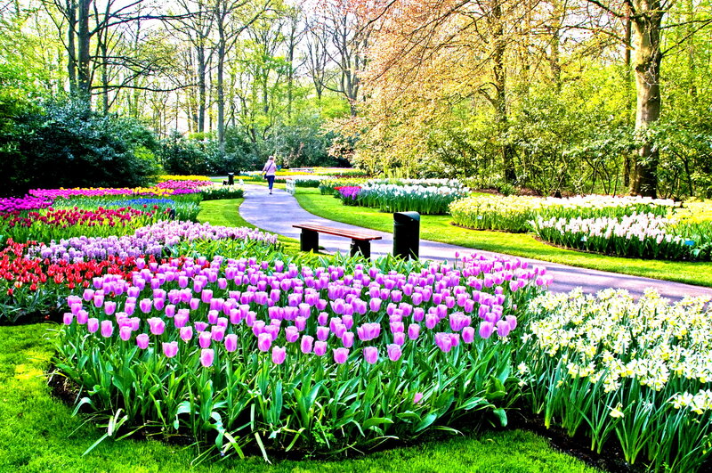 Person Walking in Garden