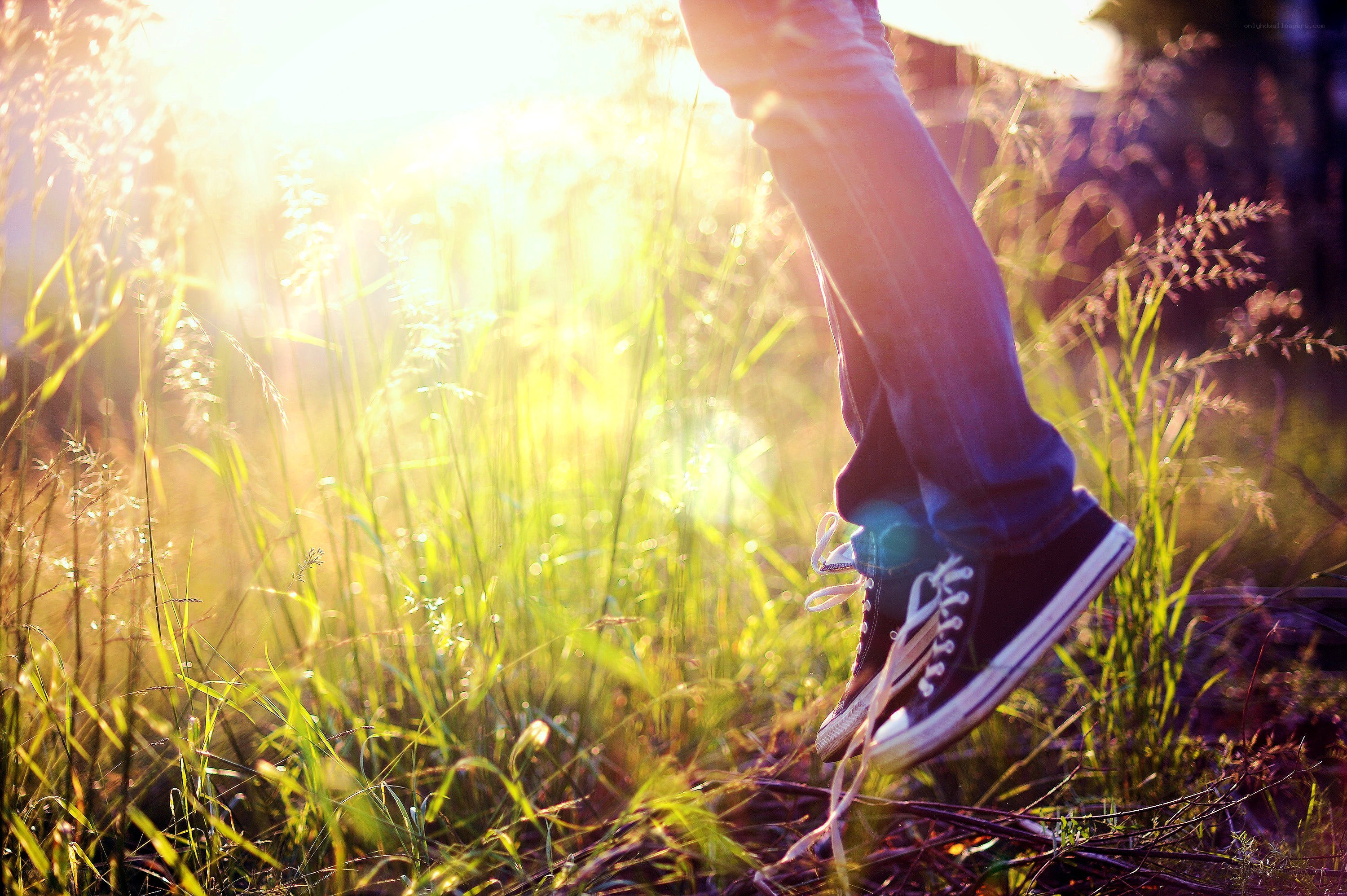 person walking in grass at sunset