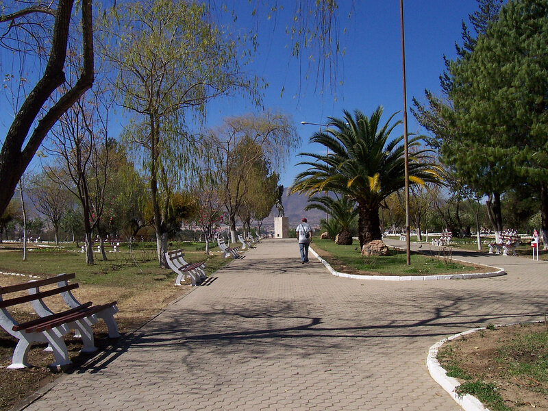 Person Walking in Park — Blue