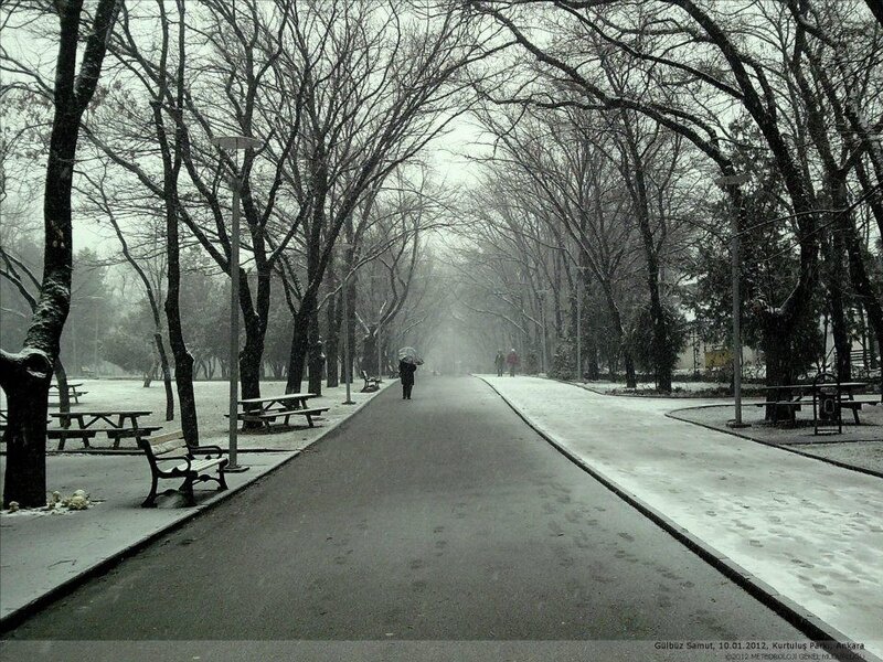 Person Walking in Park — Gray