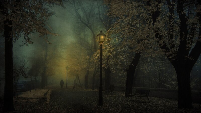 Person Walking in Park — Green, Mysterious