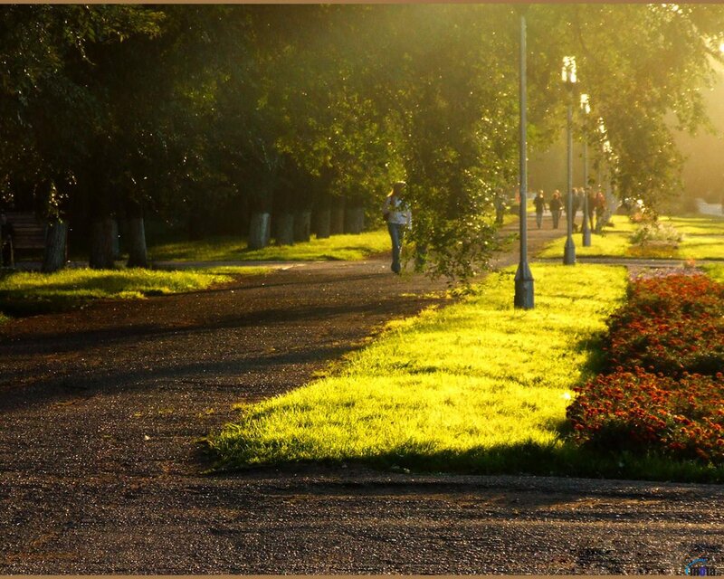 Person Walking in Park — Green