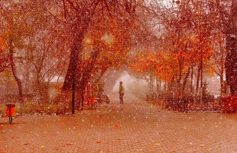 Person Walking in Park — Red, Atmospheric