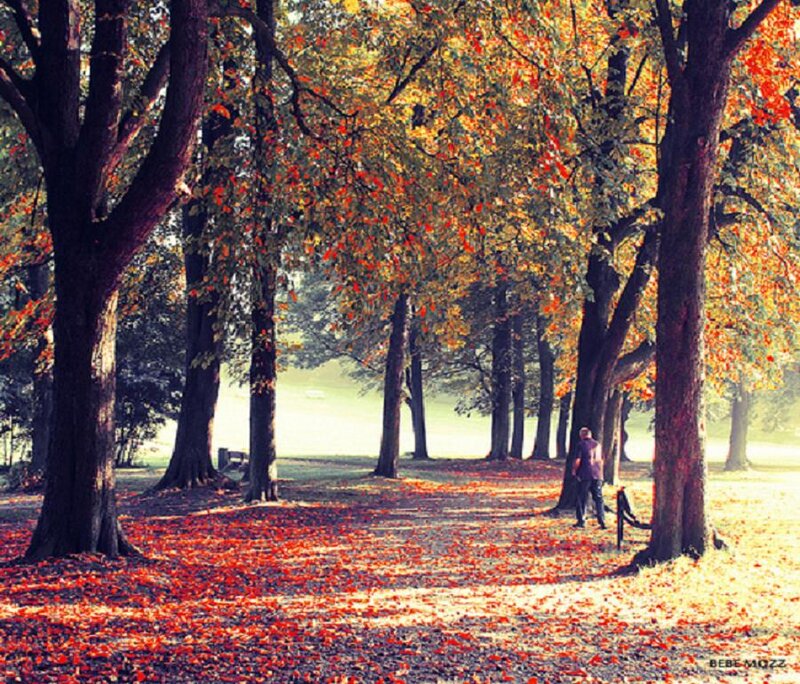 Person Walking in Park — Red