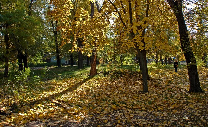 Person Walking in Park — Yellow