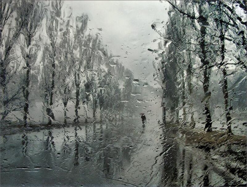 Person Walking in Rain — Gray
