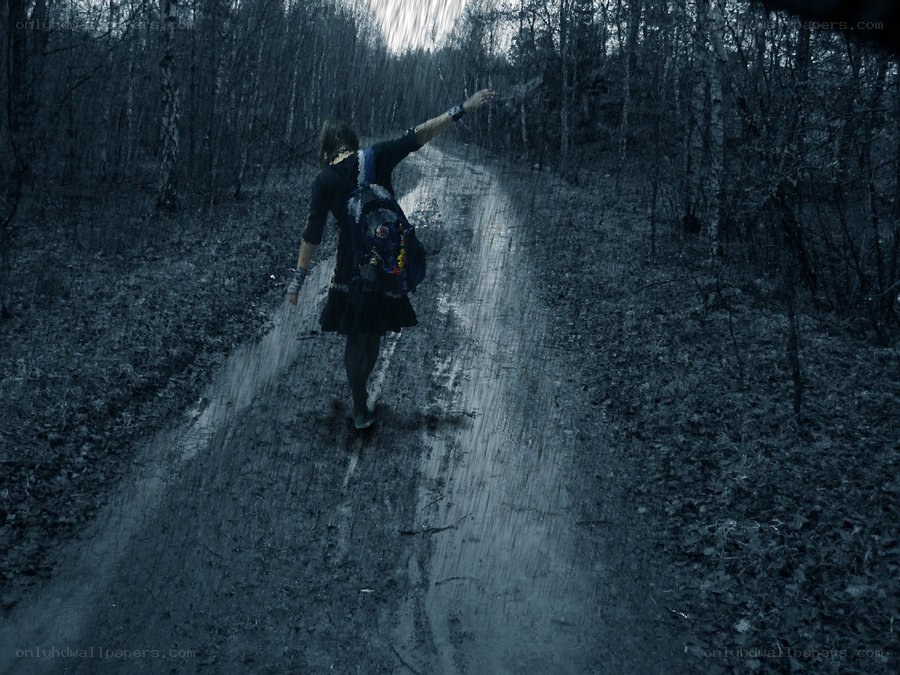 person walking in rainy forest