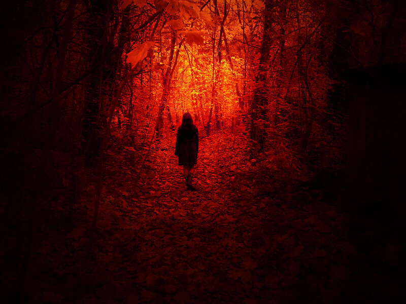person walking in red forest