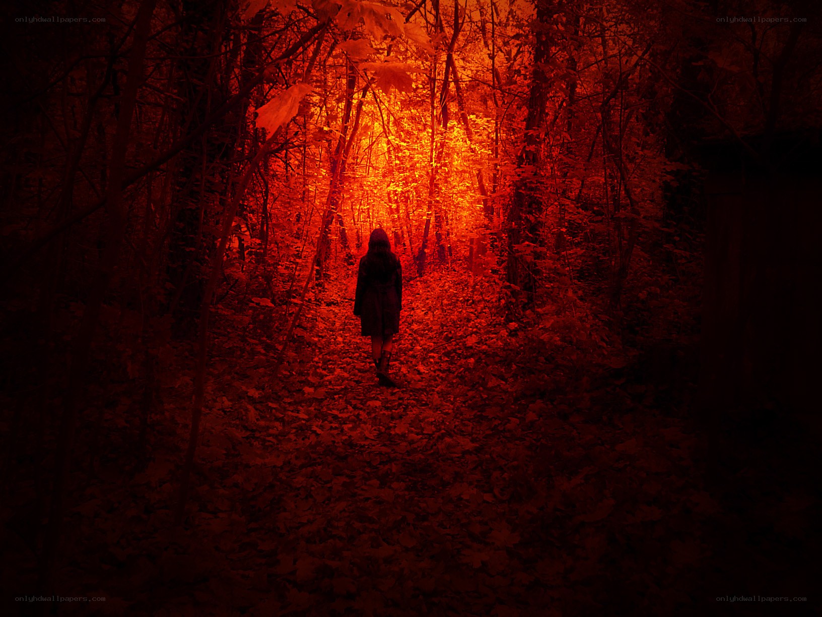 person walking in red forest