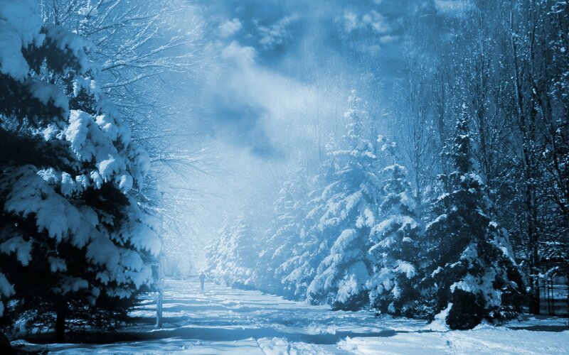 Person Walking in Snow — Blue, Cold, Winter