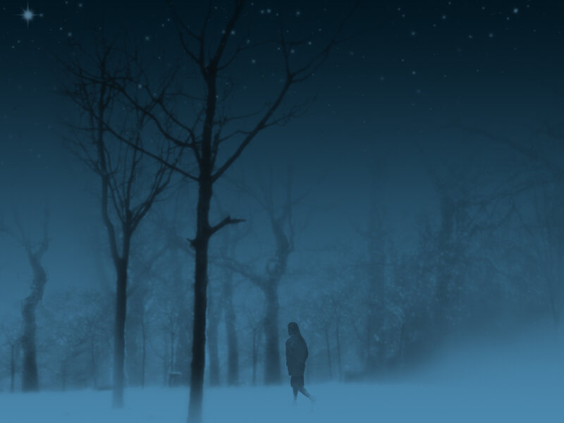 Person Walking in Snow — Blue, Melancholic, Night