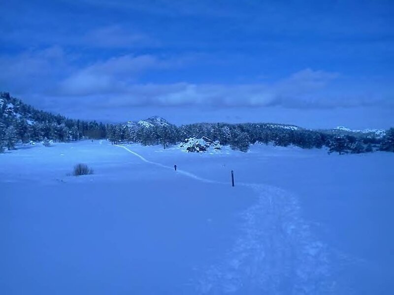 Person Walking in Snow — Blue, Serene