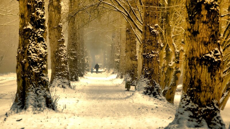 Person Walking in Snow — Serene