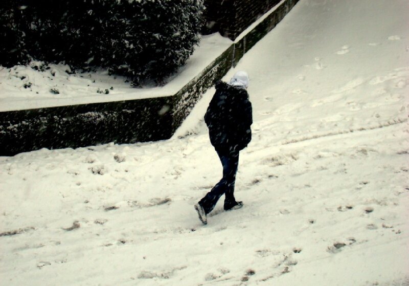 Person Walking in Snow — White, Cold, Winter, Photograph, Bushes