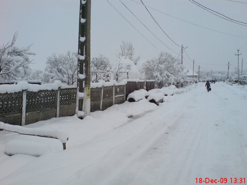 Person Walking in Snow — White, Cold, Winter, Photograph, Fence