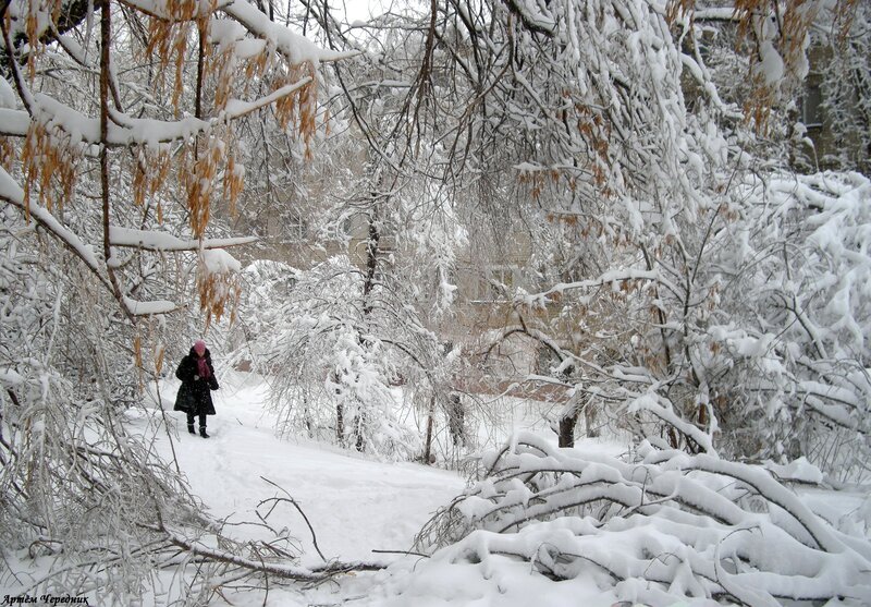 Person Walking in Snow — White, Cold, Winter, Photograph, Trees, Building, Branches