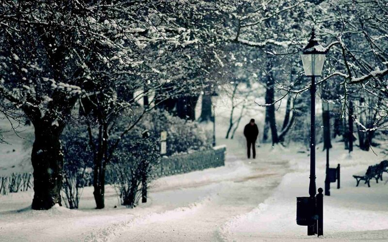 Person Walking in Snow — White, Cold, Winter, Photograph, Trees