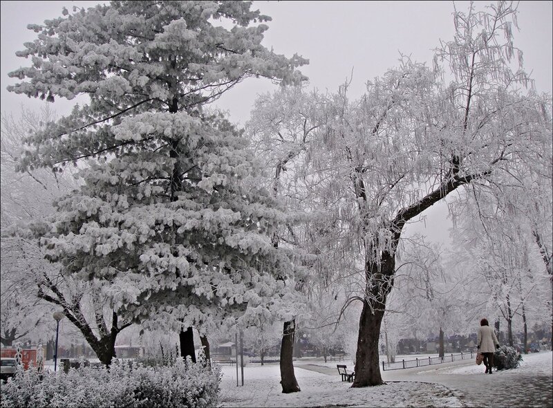 Person Walking in Snow — White, Cold, Winter